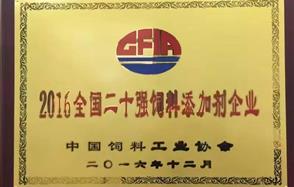 ӯviiiɷݻ 2016ȫʮǿӼҵν